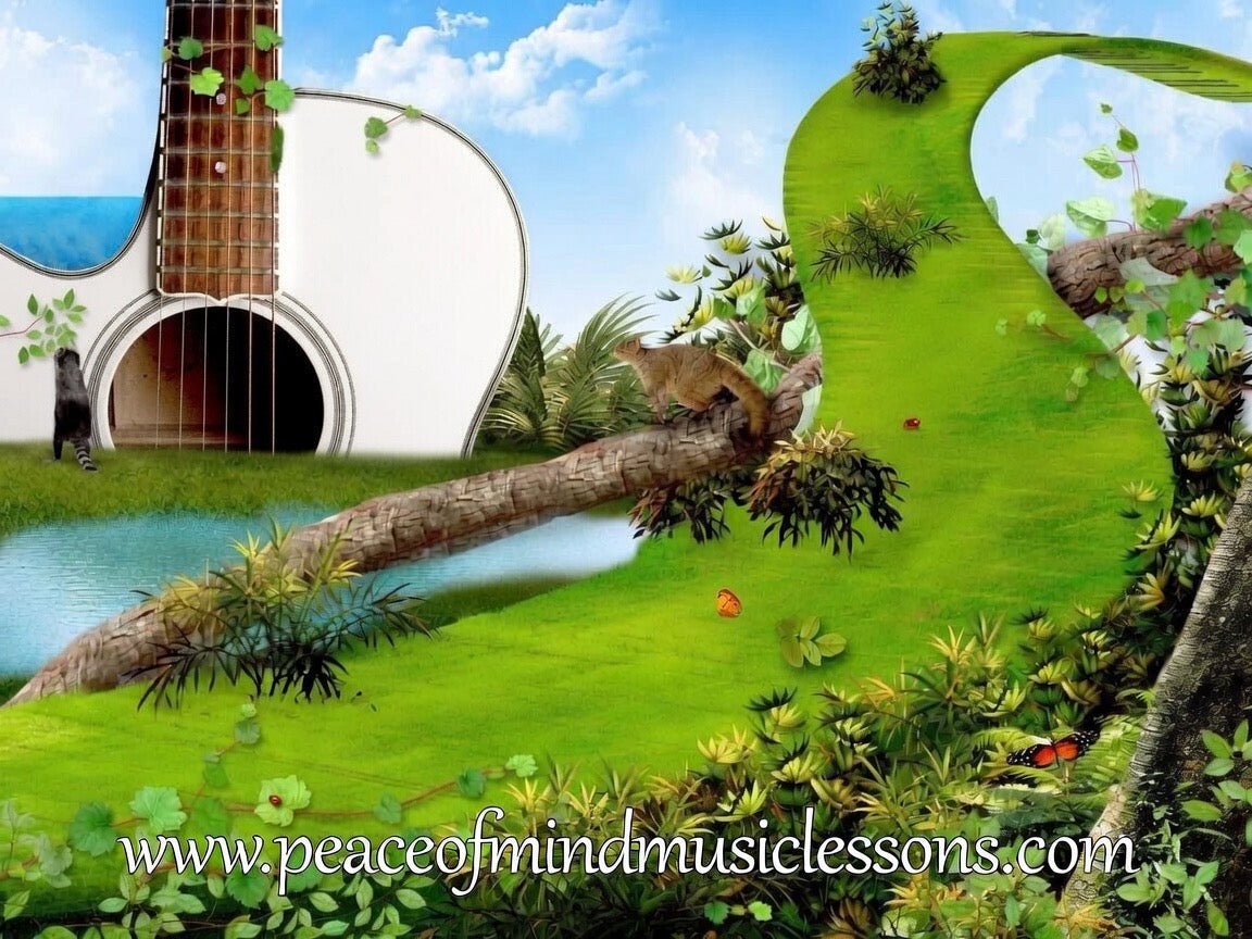 Peace of Mind Music Lessons Franchise