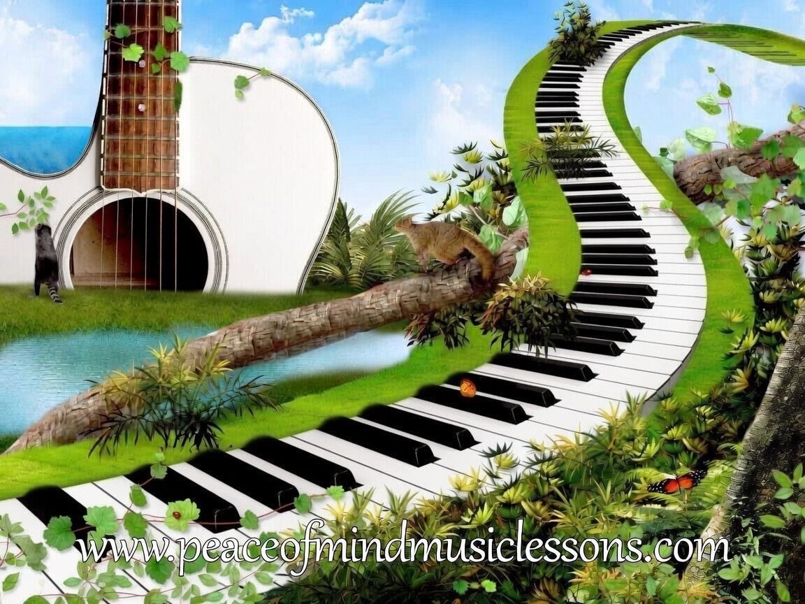 Peace of Mind Music Lessons Franchise